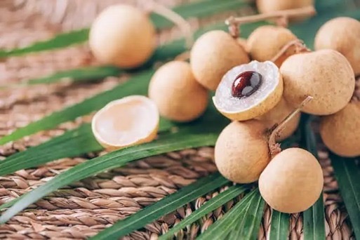 Longan Tropical plant at Aroma Gardens Edavanakkad